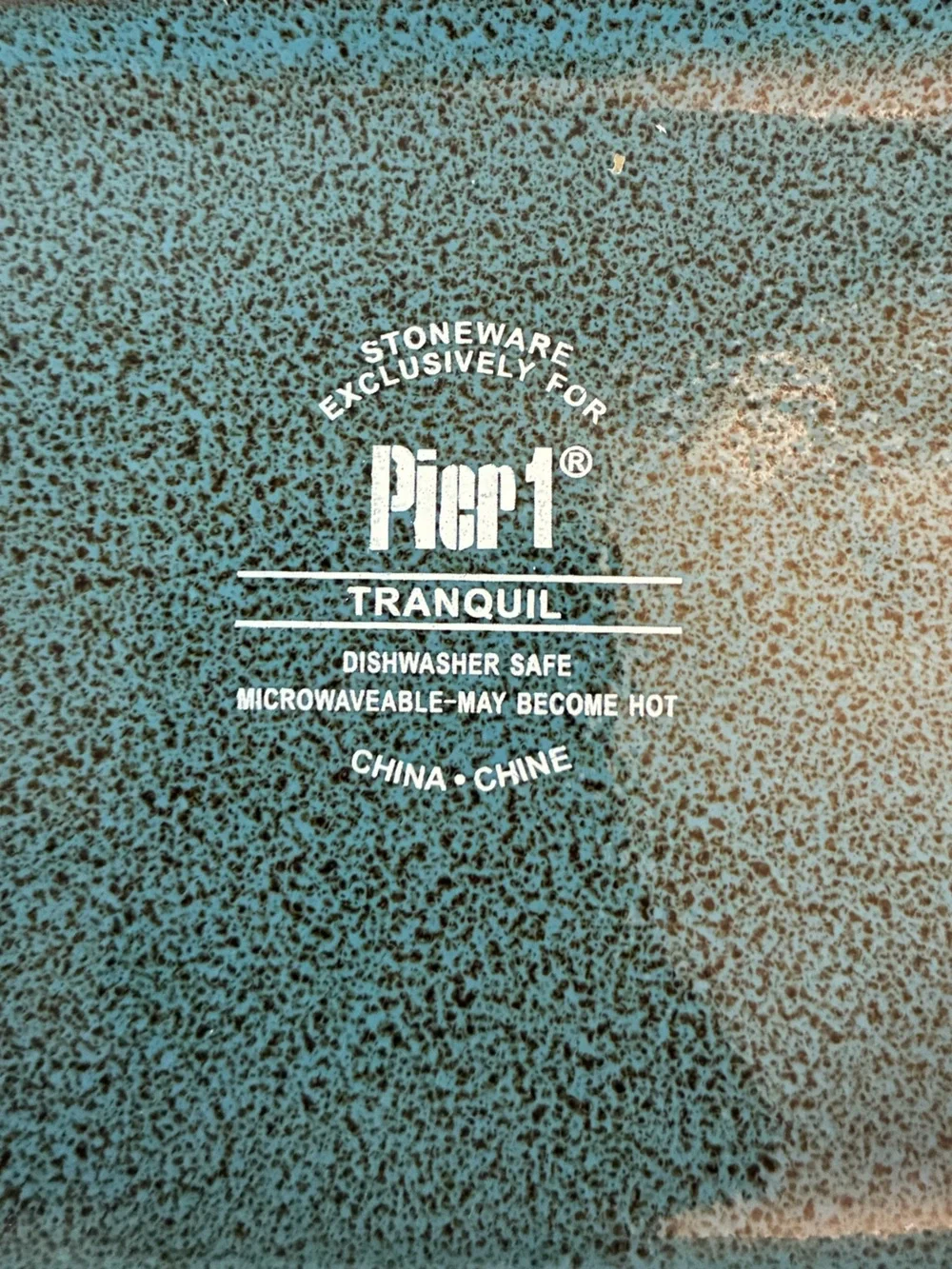 Set of 4 Pier 1 Imports Tranquil 6